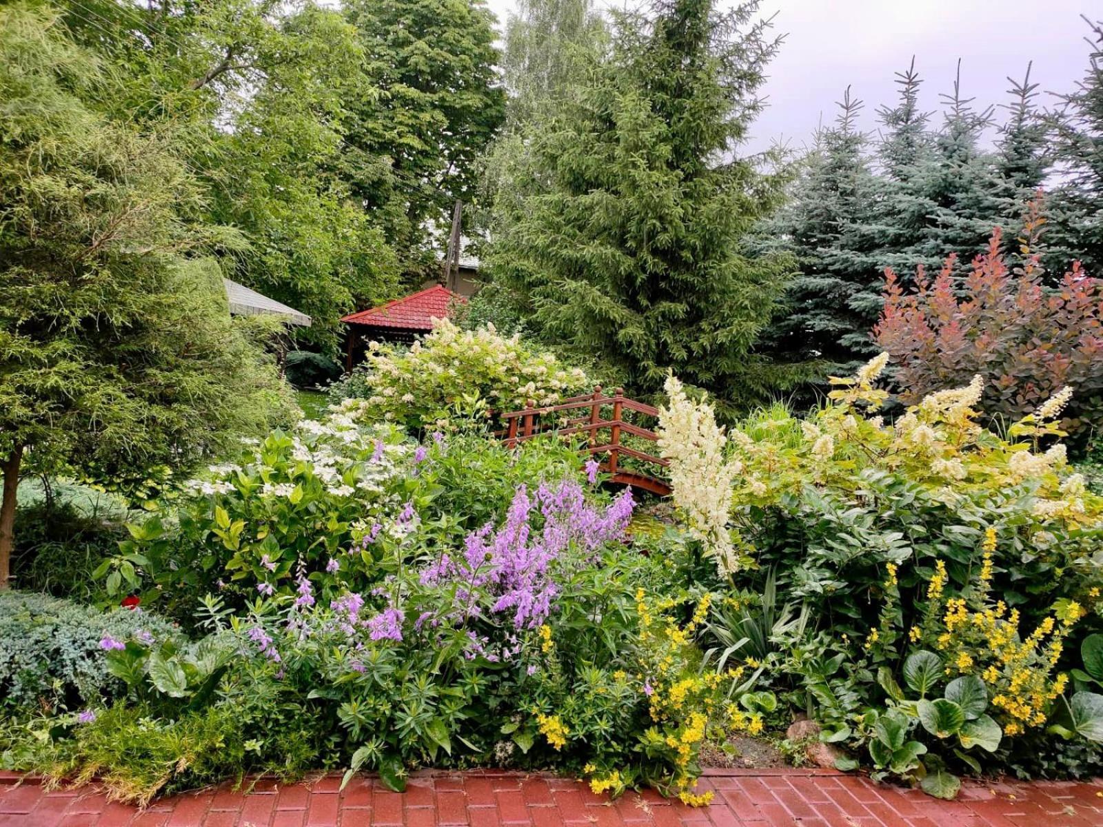 Gospodarstwo Agroturystyczne Jagoda Błonie Exteriér fotografie